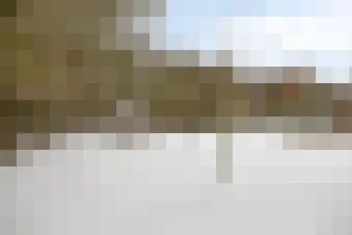 Lisdodde 15 001 Boxtel thumbnail 46