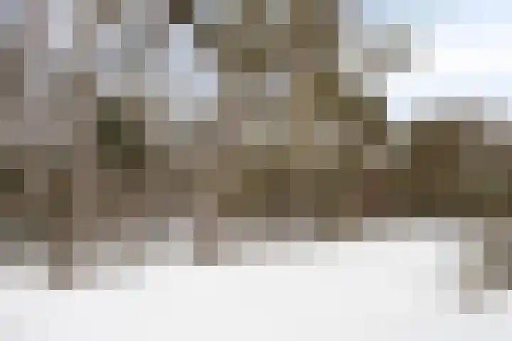 Lisdodde 15 001 Boxtel thumbnail 47