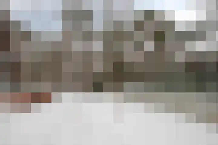 Lisdodde 15 001 Boxtel thumbnail 48
