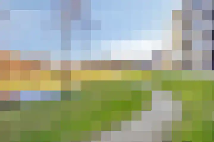 Lisdodde 15 203 Boxtel thumbnail 42