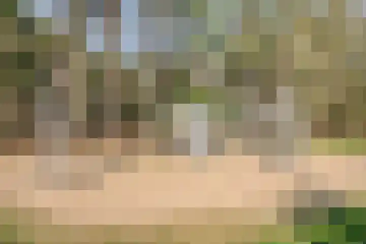Lisdodde 15 203 Boxtel thumbnail 43