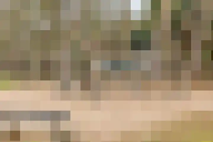 Lisdodde 15 301 Boxtel thumbnail 38