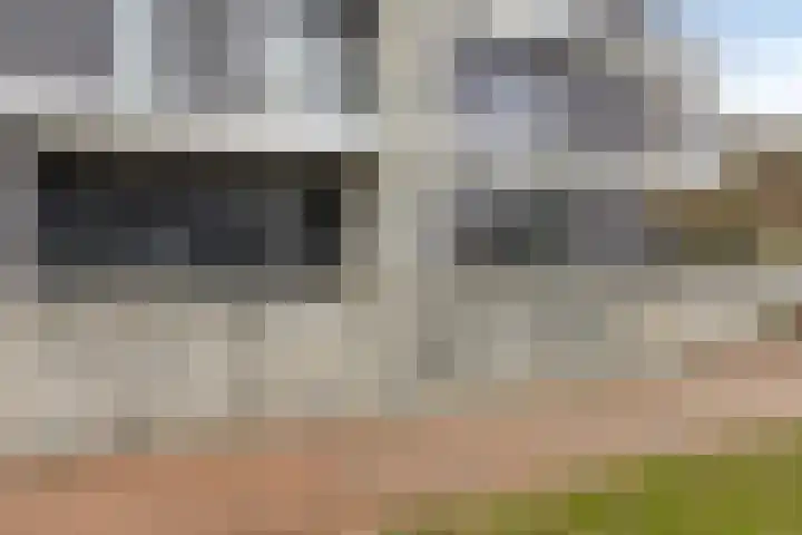 Lisdodde 15 301 Boxtel thumbnail 4