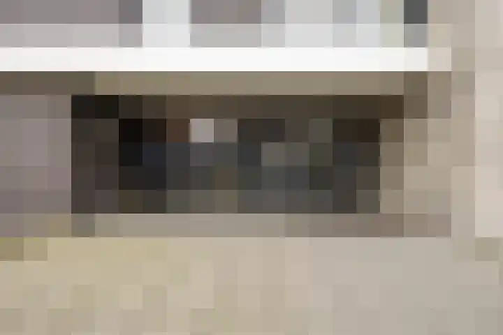 Lisdodde 15 301 Boxtel thumbnail 5