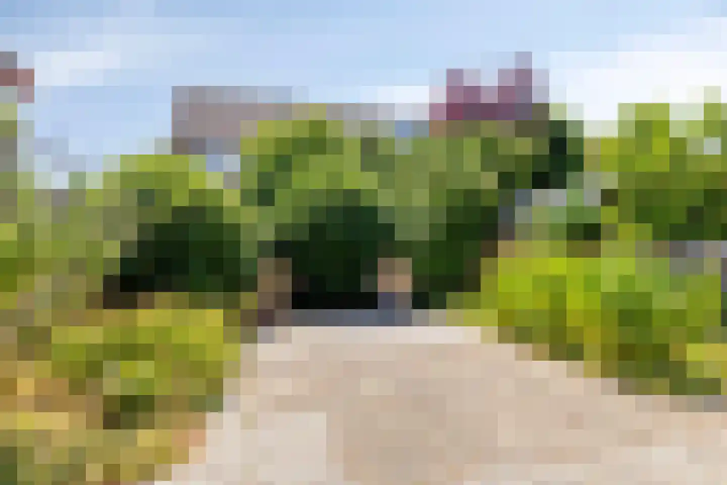 Lisdodde 15 Hoogvliet Rotterdam thumbnail 20