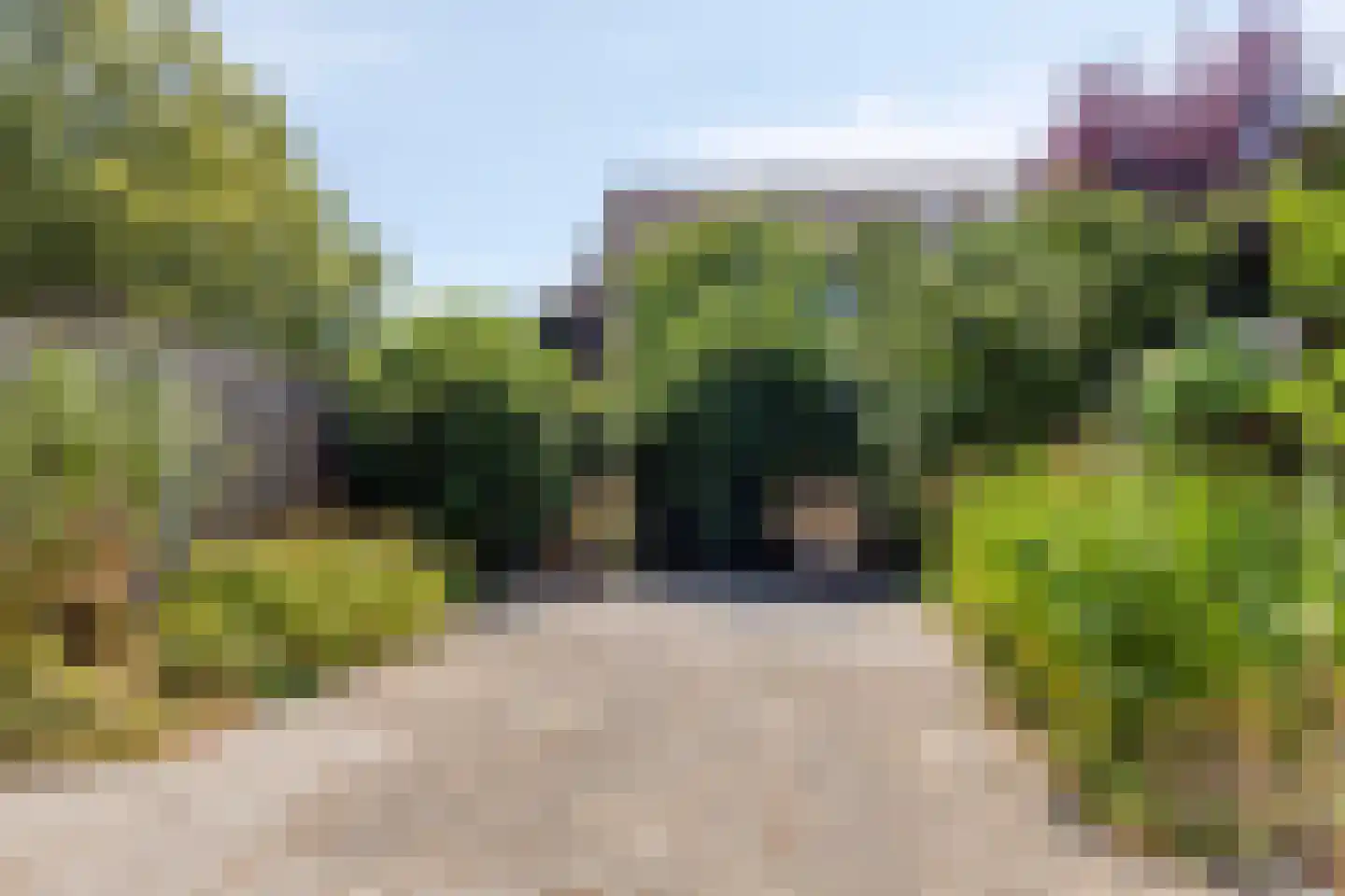 Lisdodde 15 Hoogvliet Rotterdam thumbnail 21