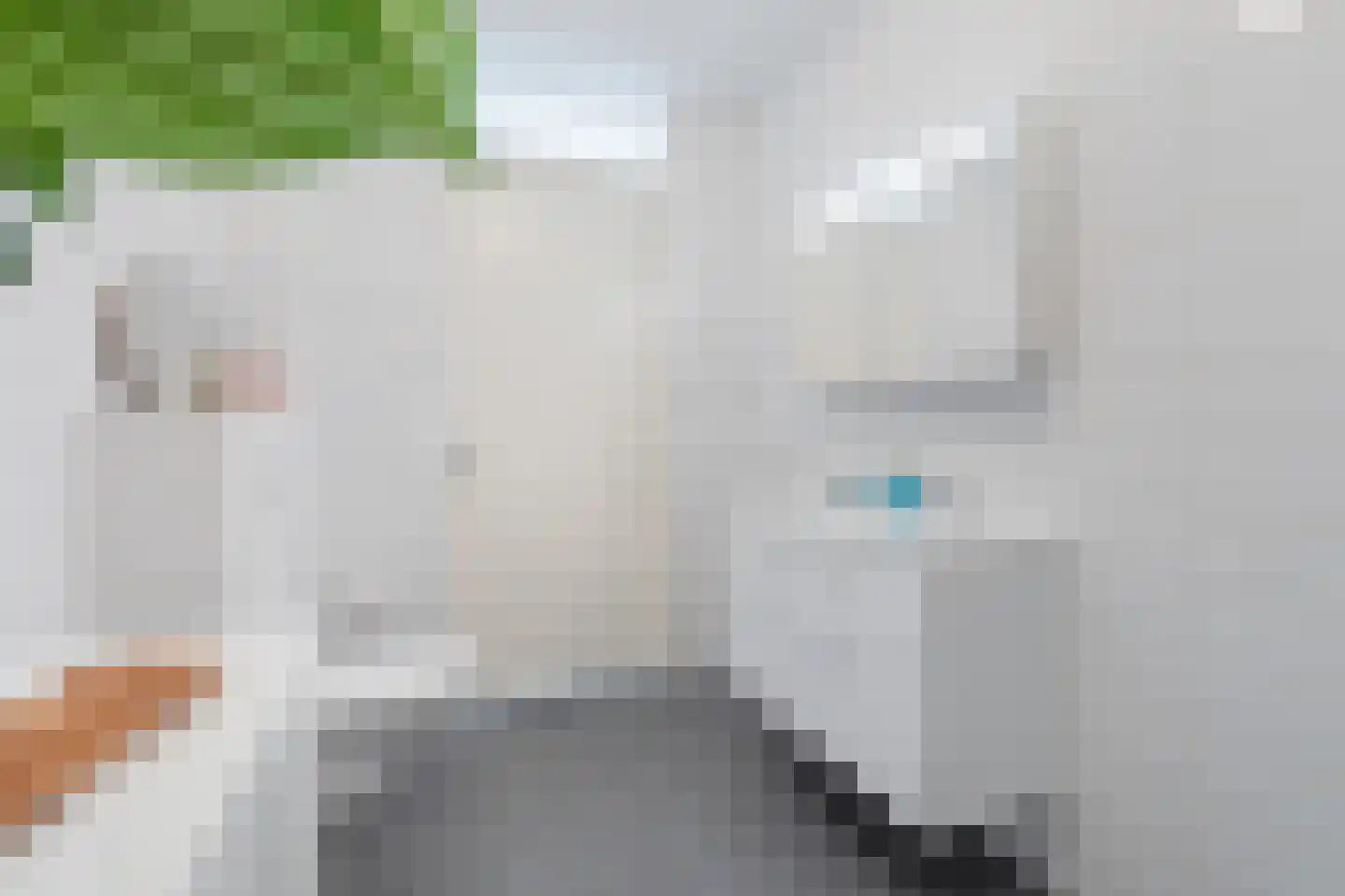 Lisdodde 151 Alphen aan den Rijn thumbnail 38