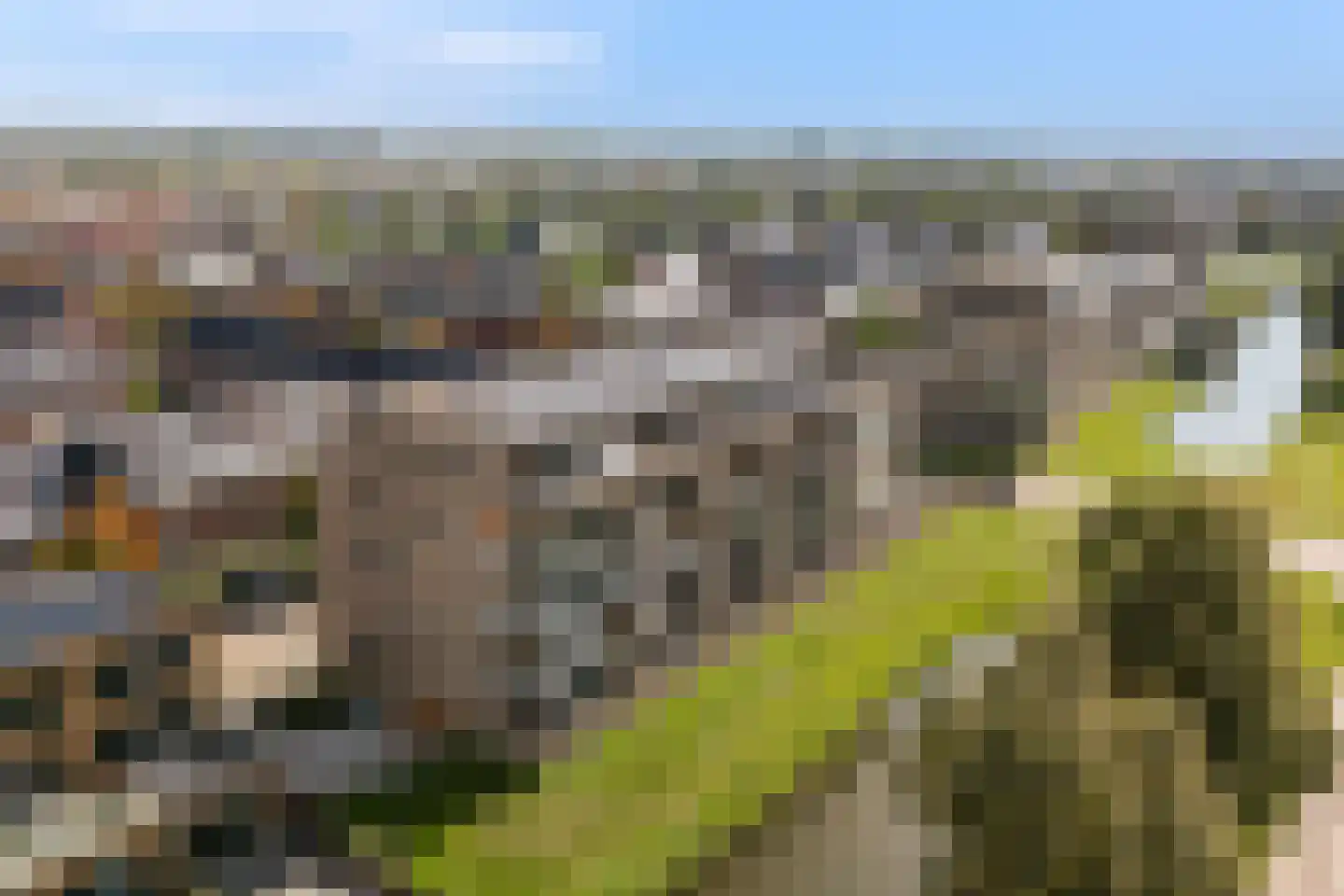 Lisdodde 151 Alphen aan den Rijn thumbnail 9