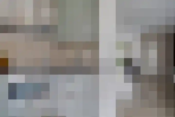 Lisdodde 16 Breda thumbnail 13