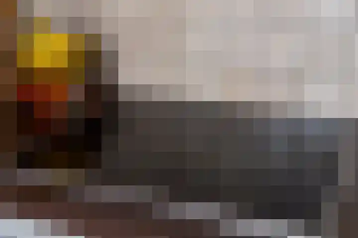 Lisdodde 16 Breda thumbnail 15