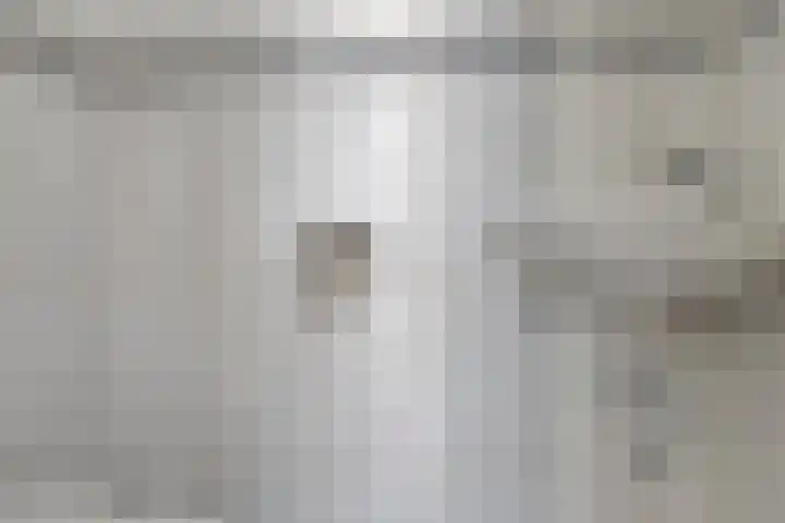 Lisdodde 16 Breda thumbnail 18