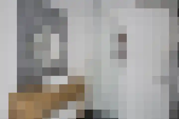 Lisdodde 16 Breda thumbnail 25
