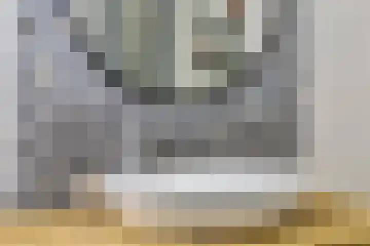 Lisdodde 16 Breda thumbnail 26