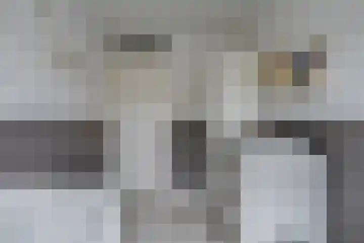 Lisdodde 16 Breda thumbnail 29