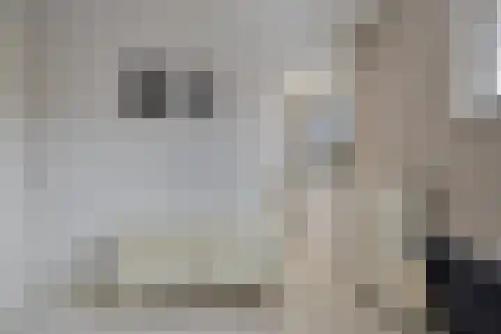 Lisdodde 16 Breda thumbnail 31