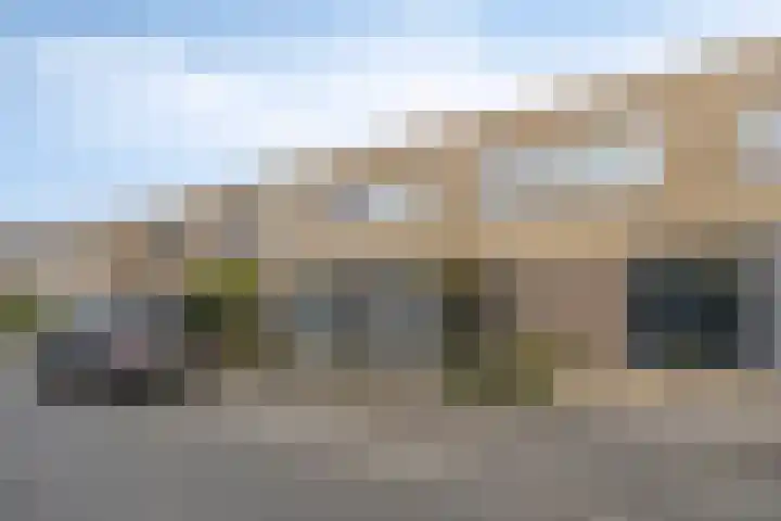 Lisdodde 16 Breda thumbnail 37