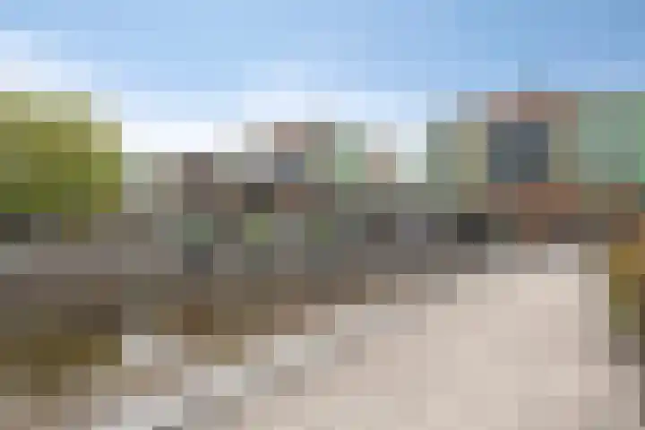 Lisdodde 16 Breda thumbnail 41