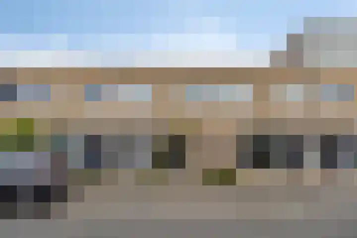Lisdodde 16 Breda thumbnail 47