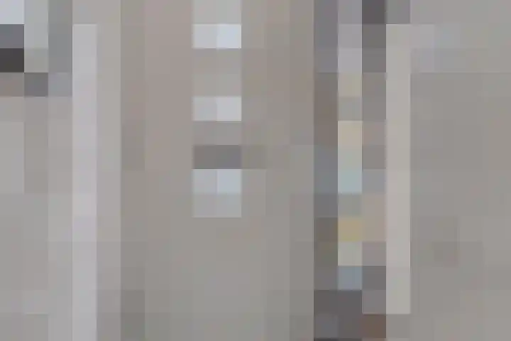 Lisdodde 16 Breda thumbnail 6