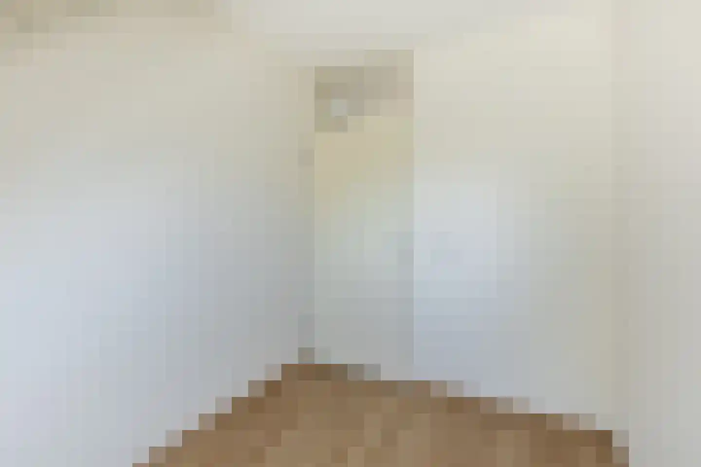 Lisdodde 16 Soest thumbnail 15