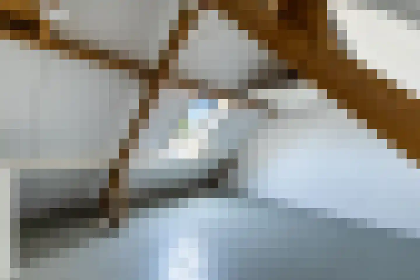 Lisdodde 16 Soest thumbnail 26