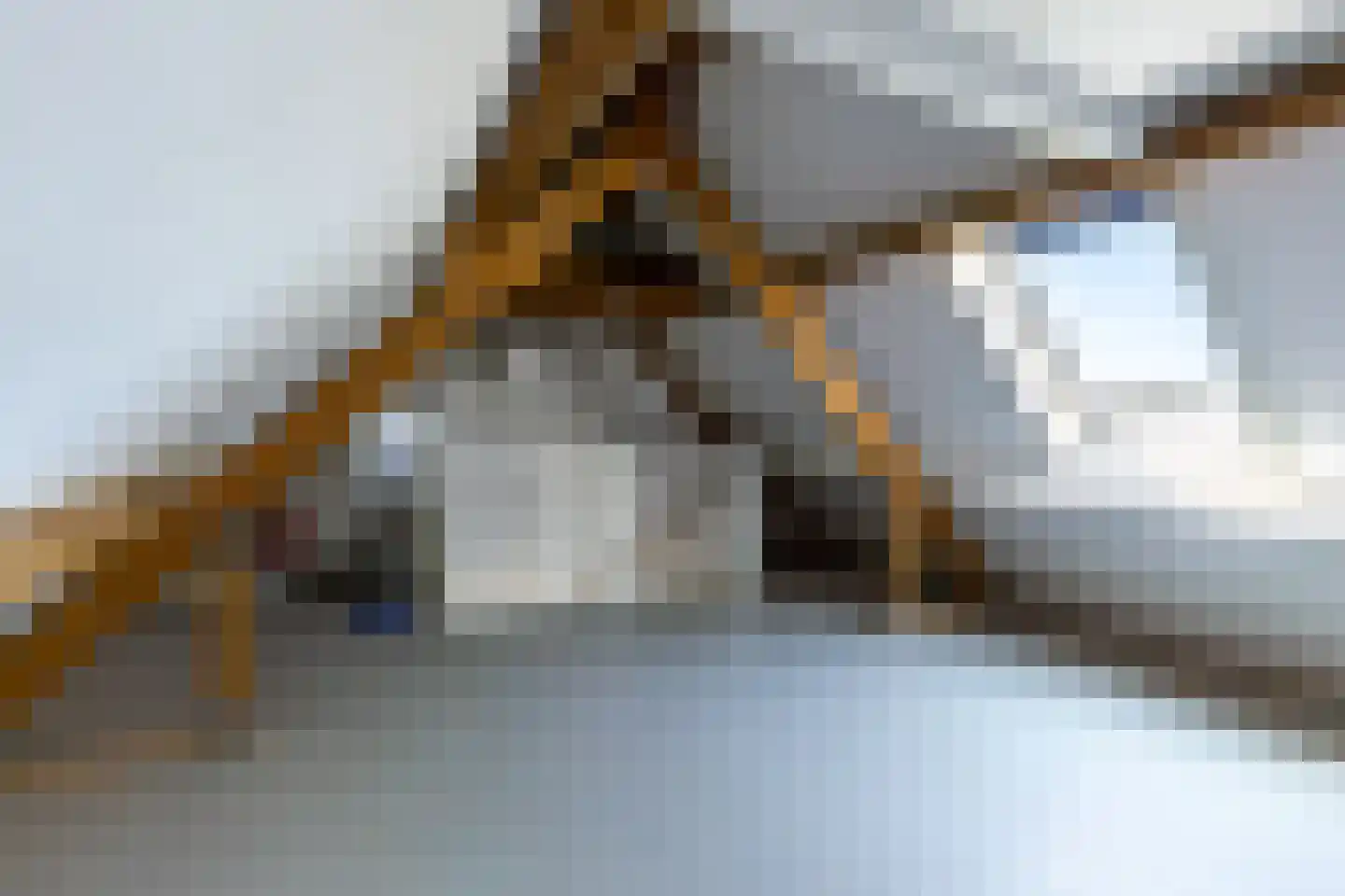 Lisdodde 16 Soest thumbnail 27