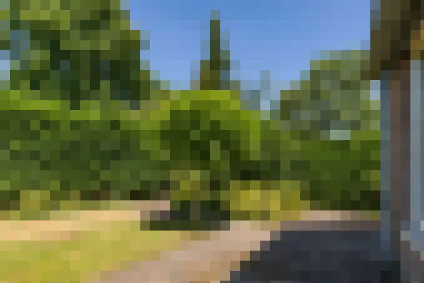 Lisdodde 16 Soest thumbnail 28