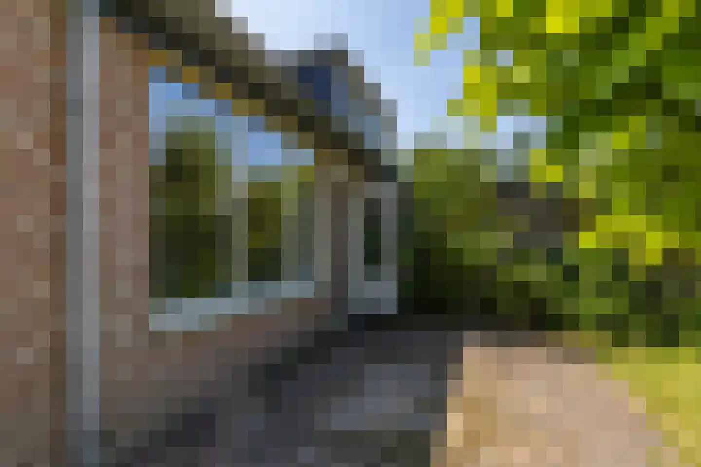 Lisdodde 16 Soest thumbnail 29