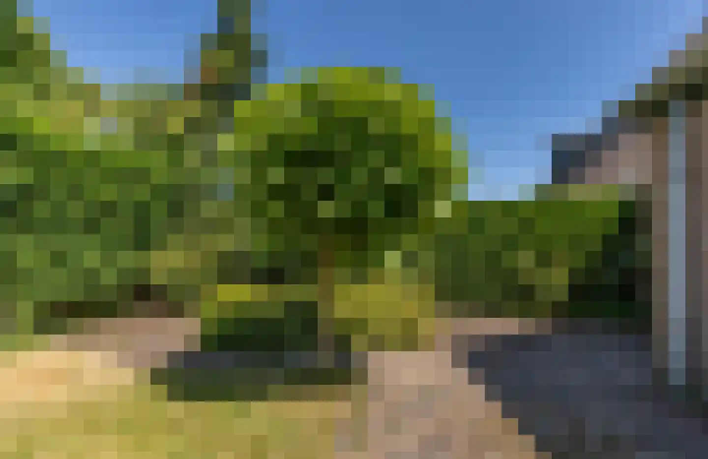 Lisdodde 16 Soest thumbnail 30