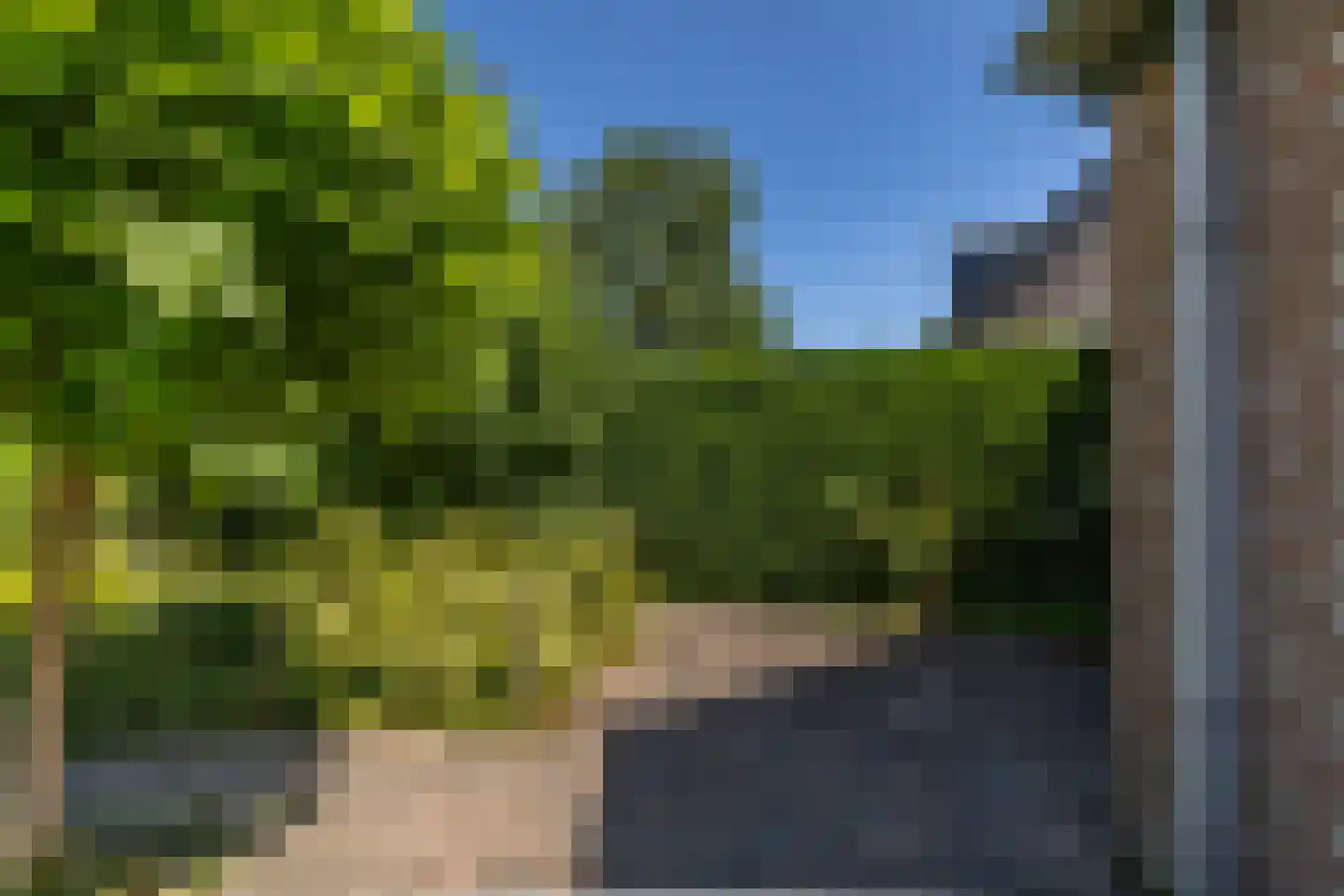 Lisdodde 16 Soest thumbnail 31