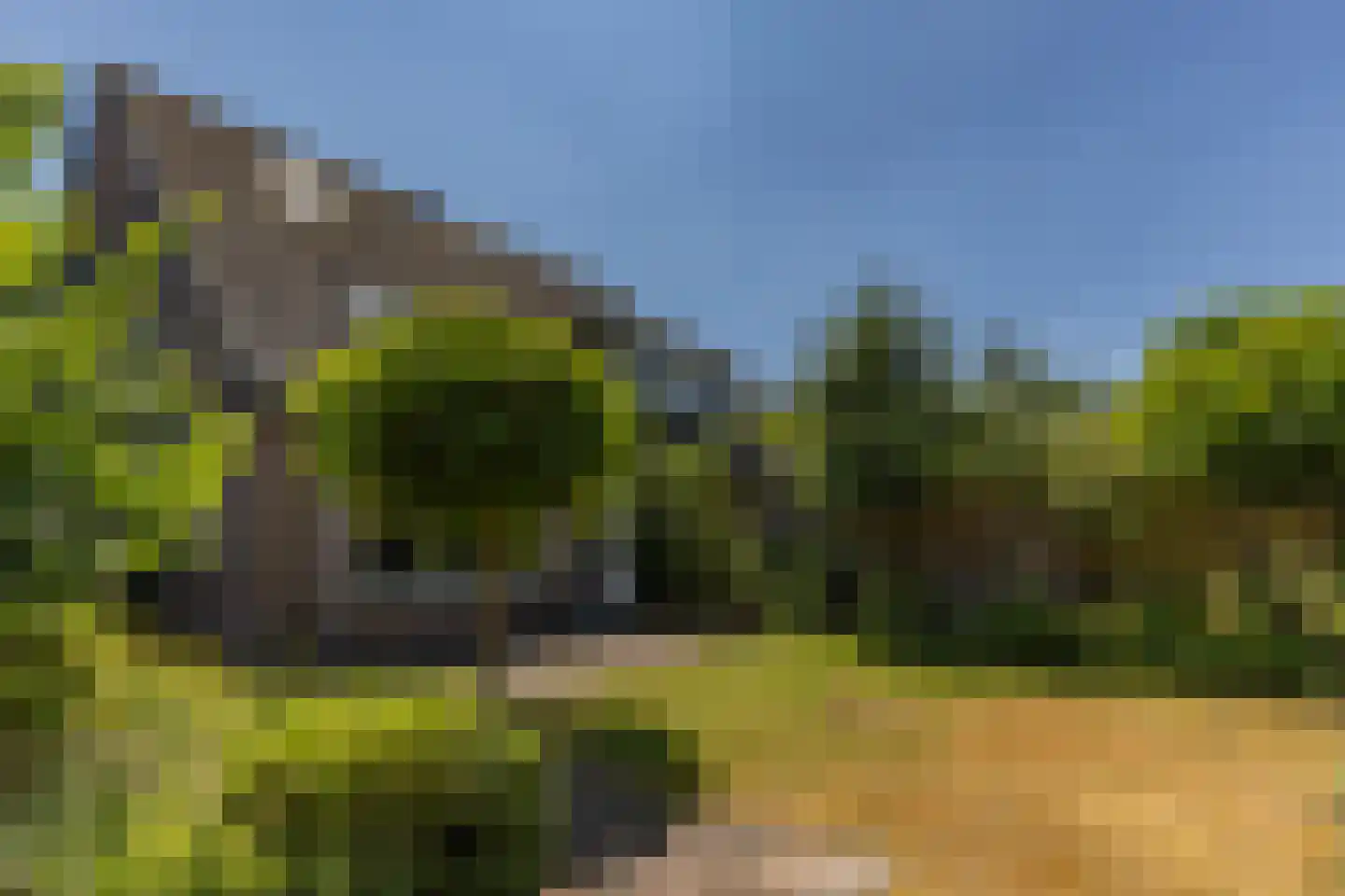 Lisdodde 16 Soest thumbnail 34