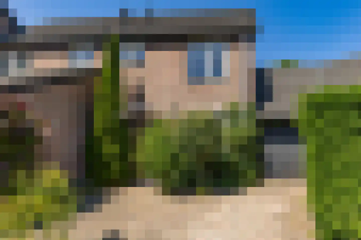 Lisdodde 16 Soest thumbnail 4