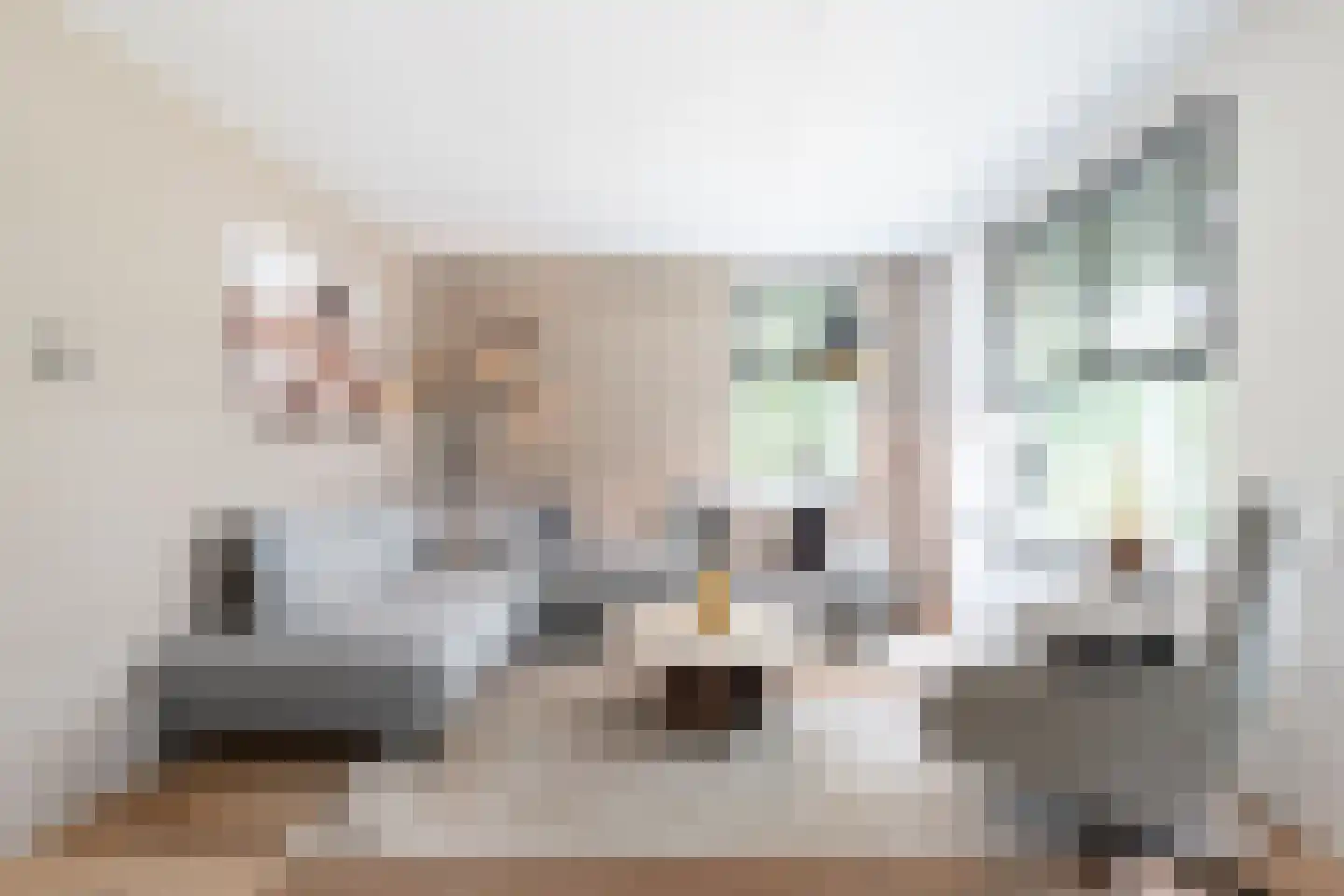 Lisdodde 16 Zuidhorn thumbnail 10