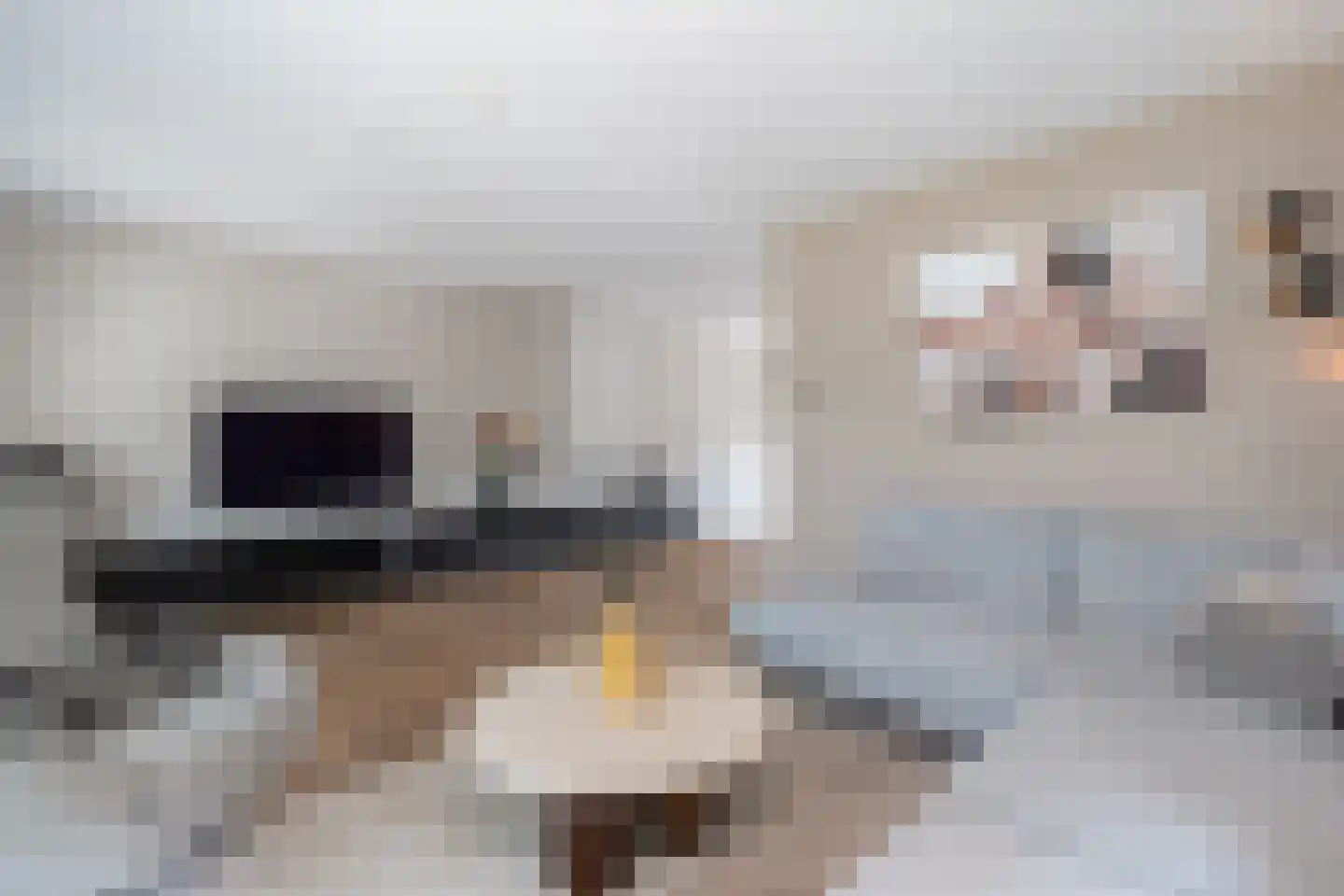 Lisdodde 16 Zuidhorn thumbnail 11