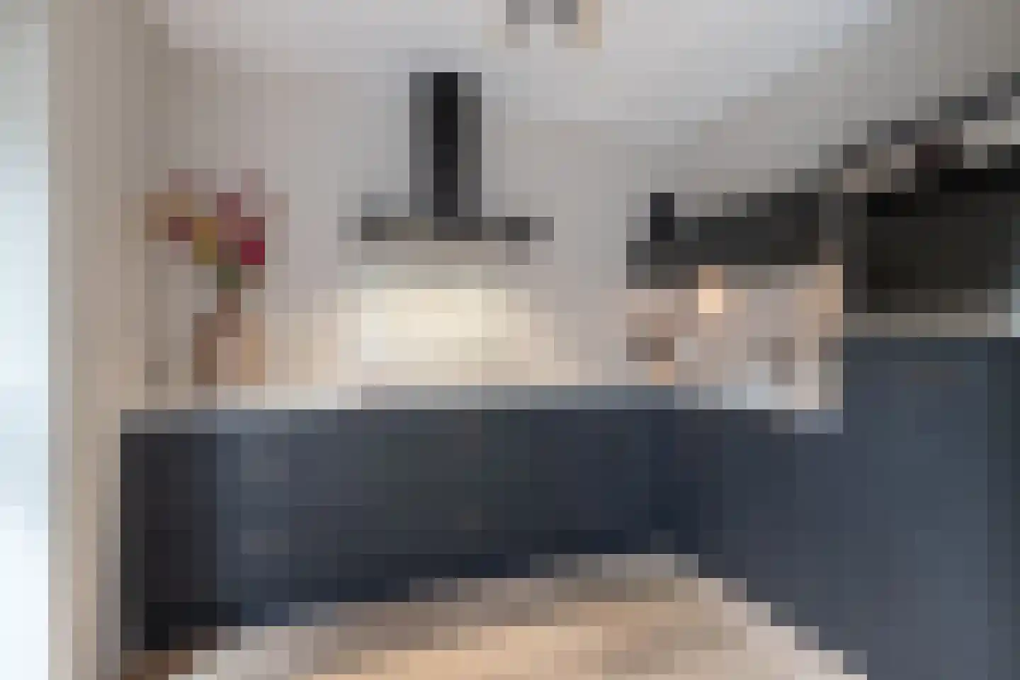Lisdodde 16 Zuidhorn thumbnail 15