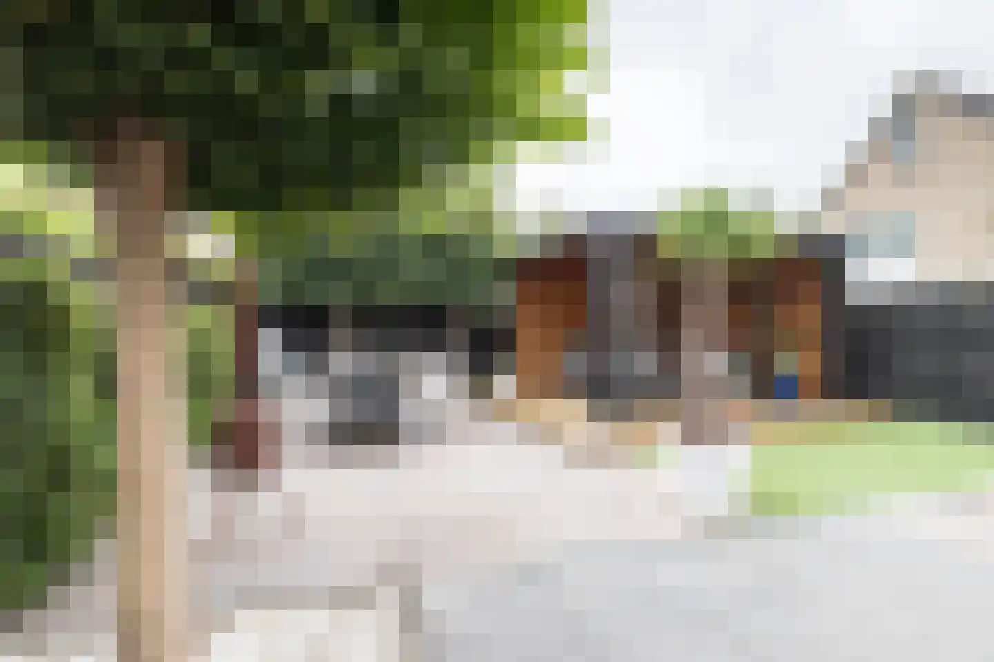 Lisdodde 16 Zuidhorn thumbnail 20