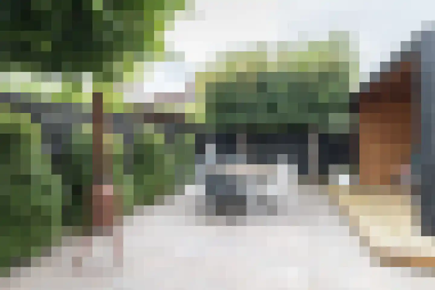 Lisdodde 16 Zuidhorn thumbnail 21
