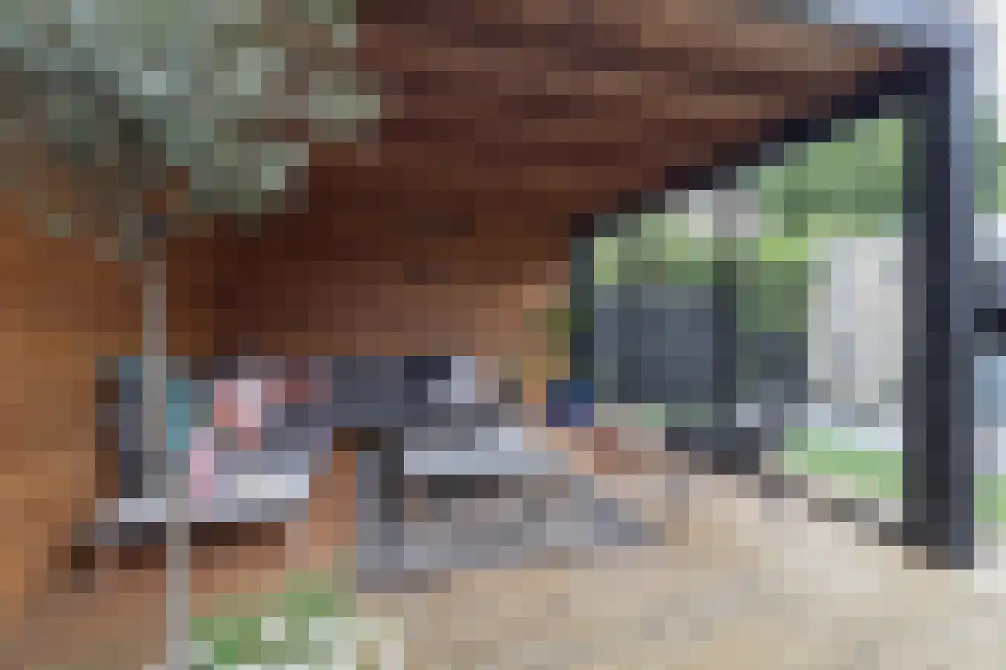 Lisdodde 16 Zuidhorn thumbnail 24