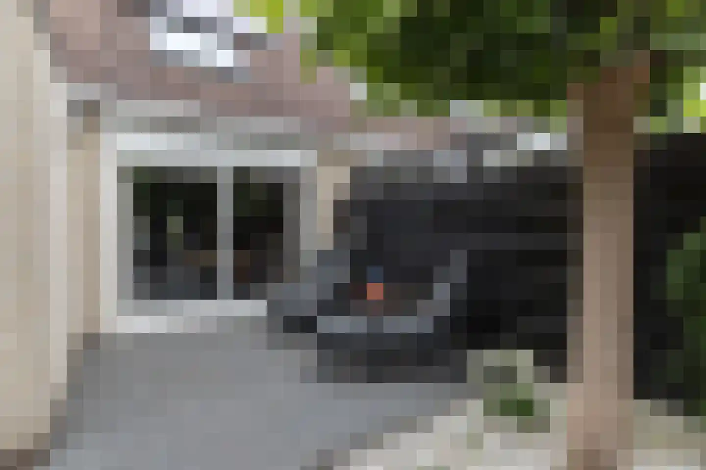 Lisdodde 16 Zuidhorn thumbnail 26