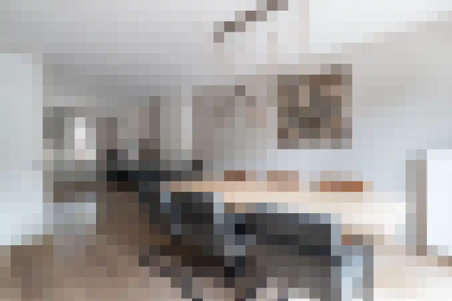 Lisdodde 16 Zuidhorn thumbnail 29