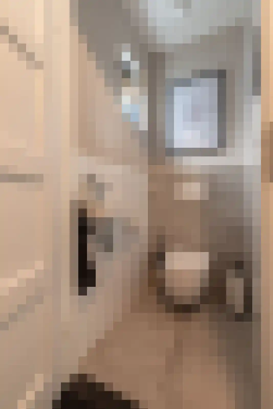 Lisdodde 16 Zuidhorn thumbnail 31