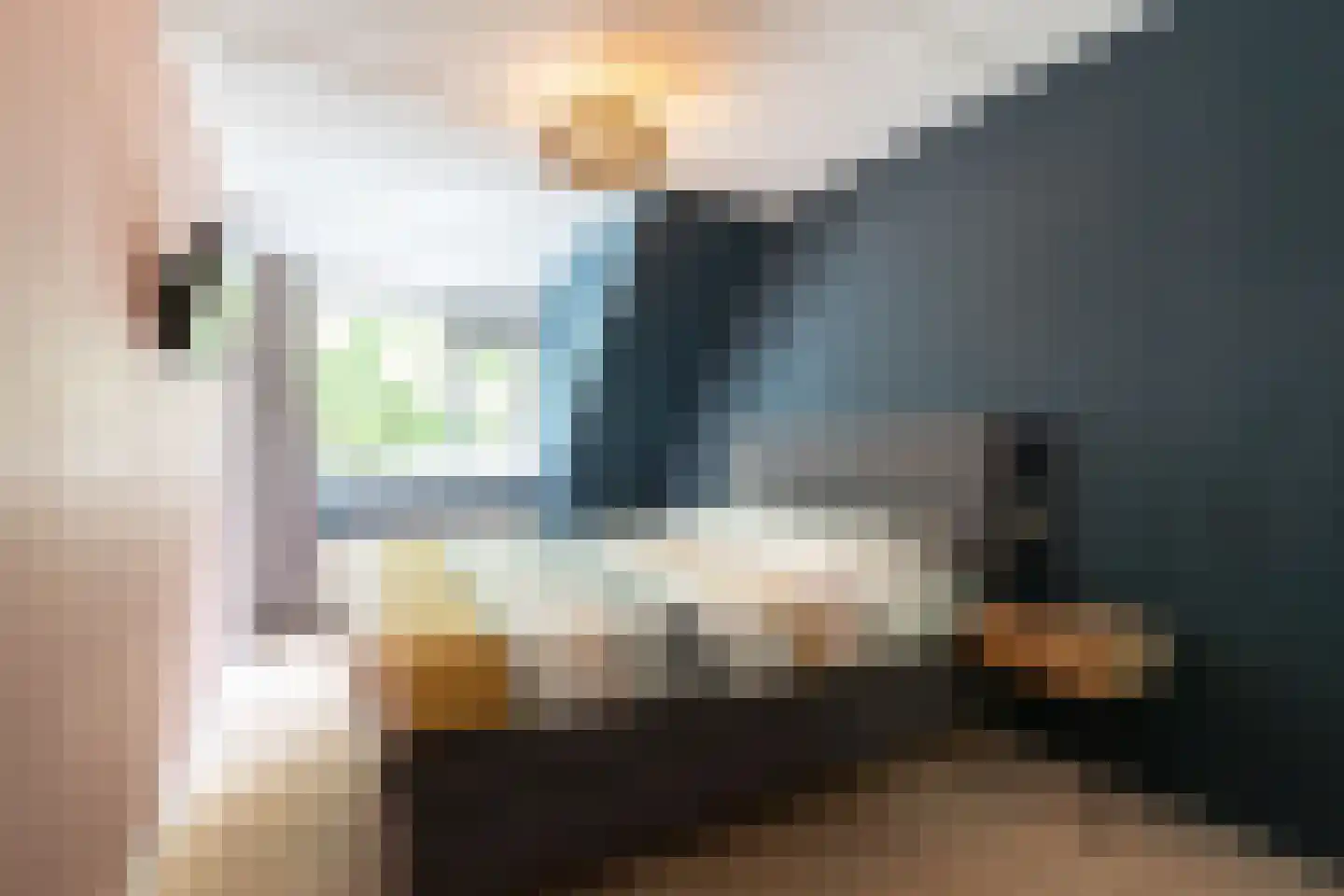 Lisdodde 16 Zuidhorn thumbnail 33