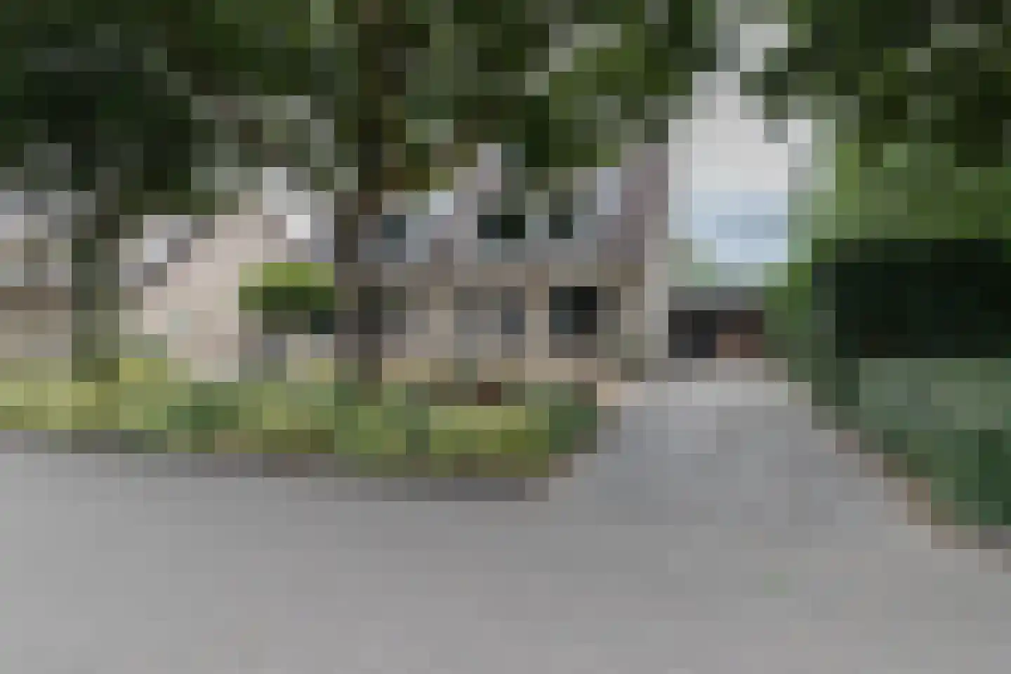 Lisdodde 16 Zuidhorn thumbnail 4