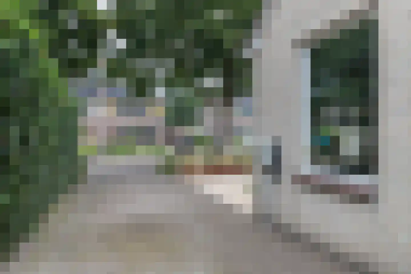 Lisdodde 16 Zuidhorn thumbnail 46