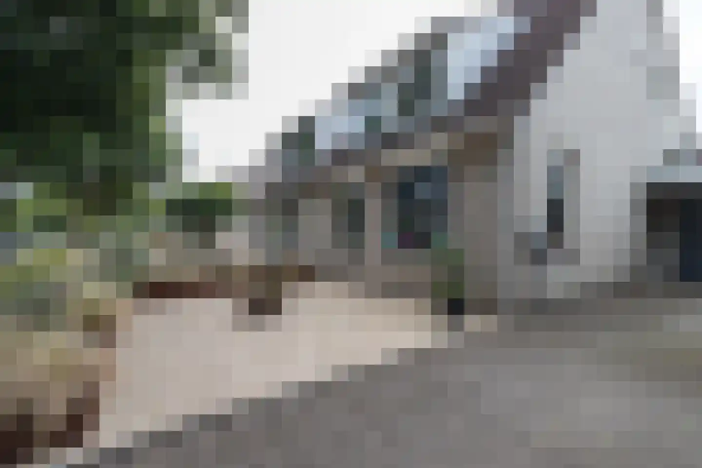 Lisdodde 16 Zuidhorn thumbnail 47