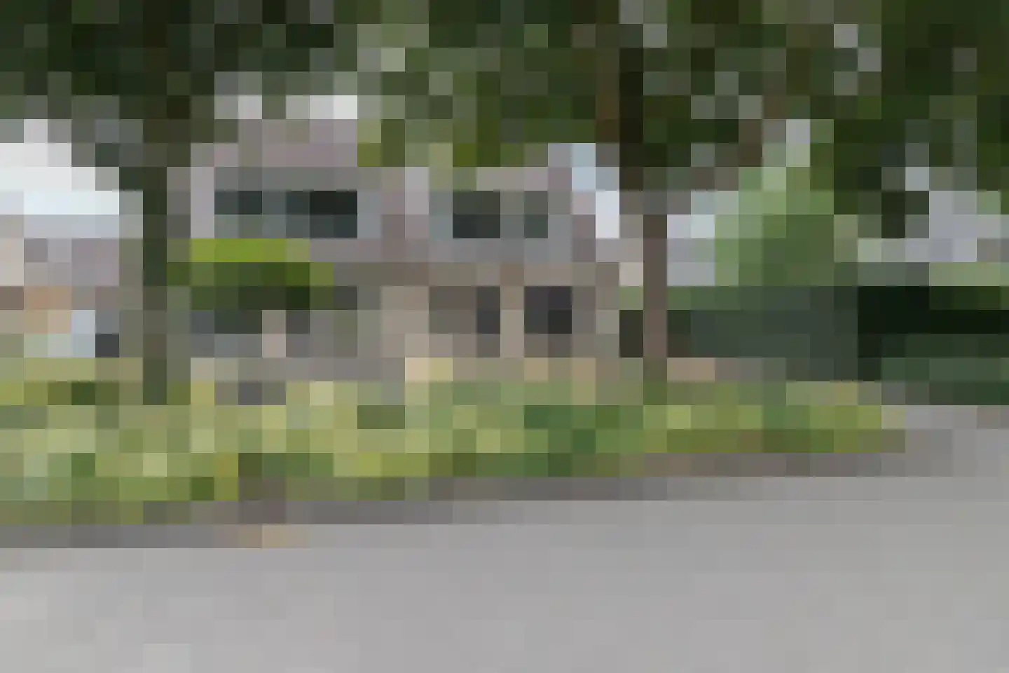 Lisdodde 16 Zuidhorn thumbnail 49