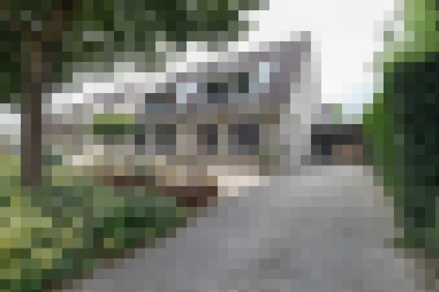 Lisdodde 16 Zuidhorn thumbnail 5