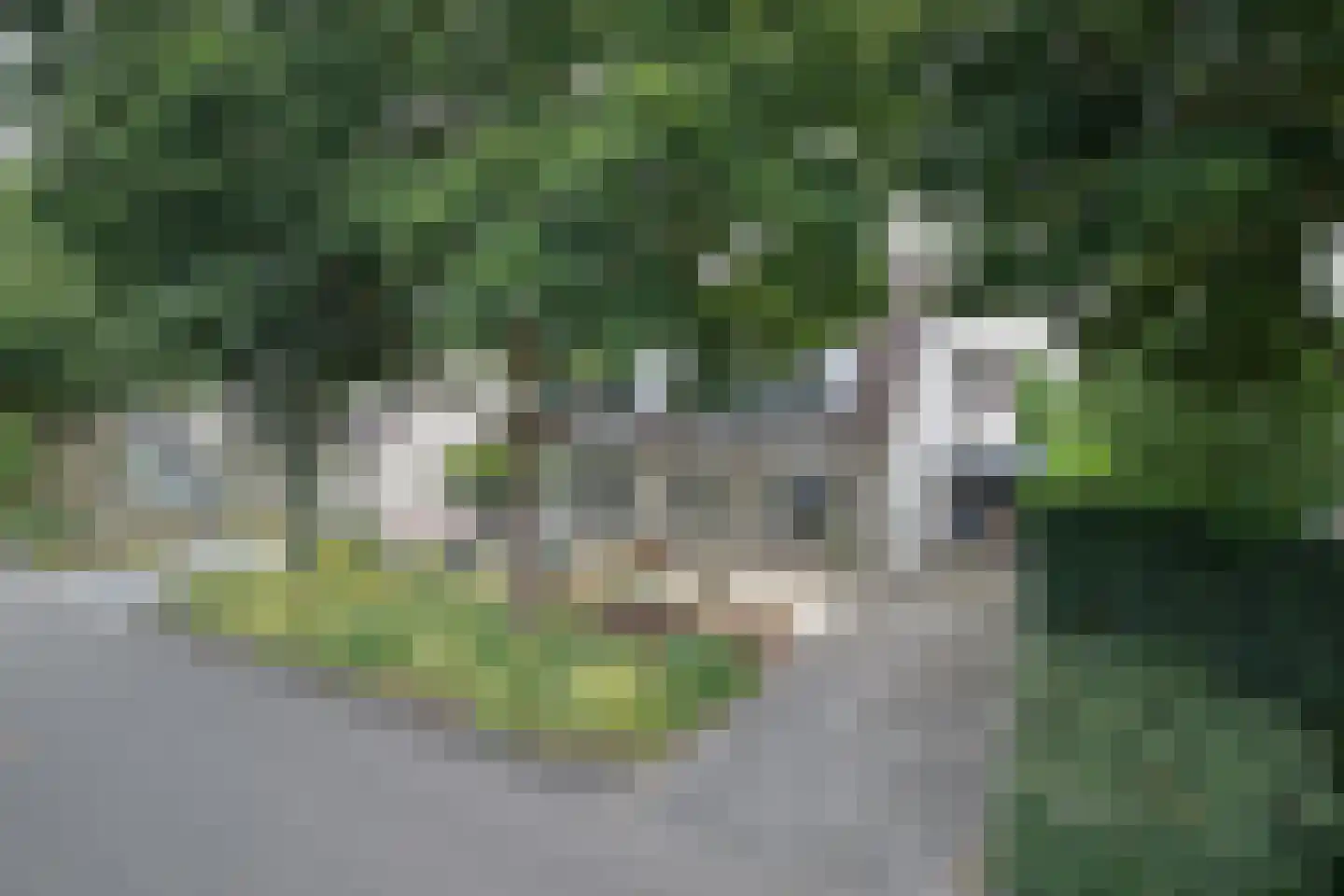 Lisdodde 16 Zuidhorn thumbnail 50