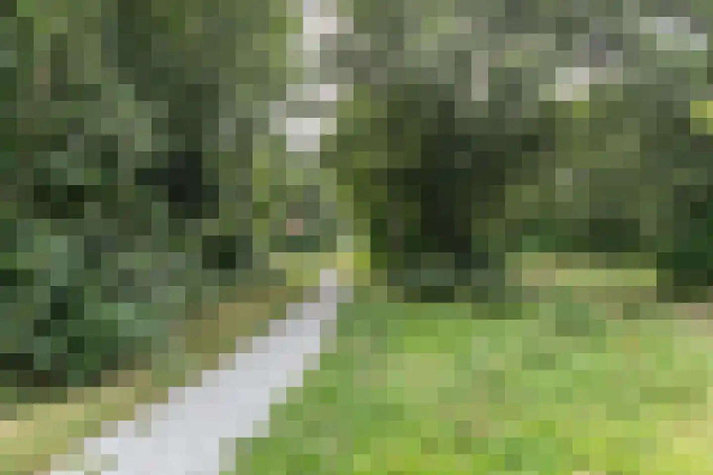 Lisdodde 16 Zuidhorn thumbnail 51