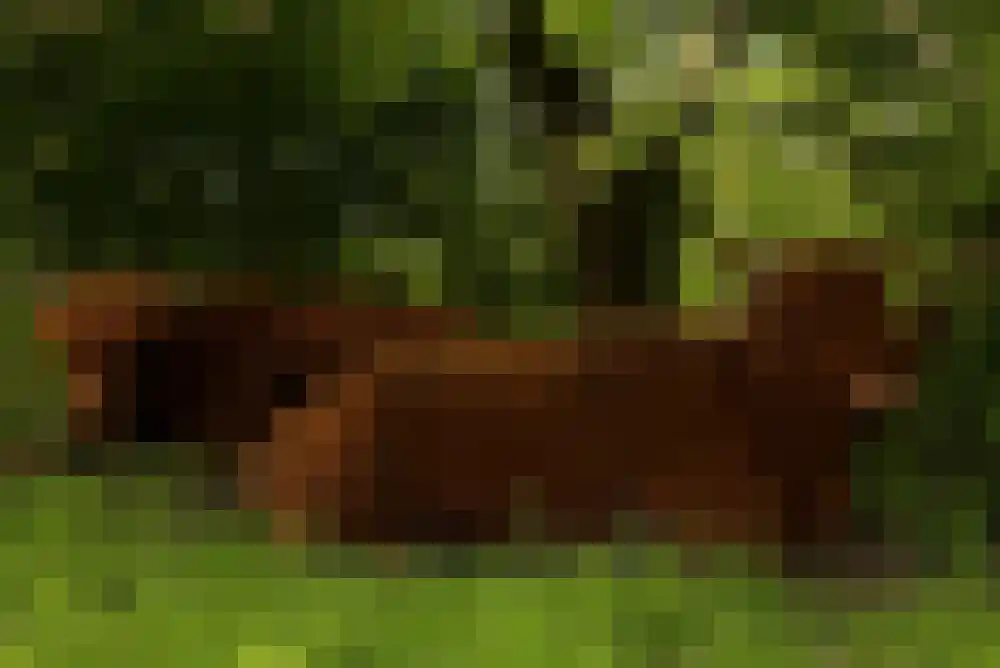 Lisdodde 16 Zuidhorn thumbnail 52